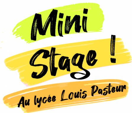 Mini stage