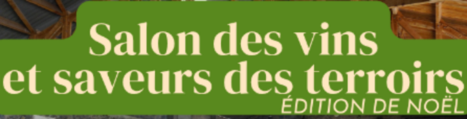 logo salon des vins .png