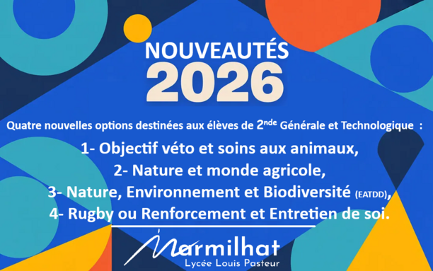 Nouveautés options 2nde GT -26.png